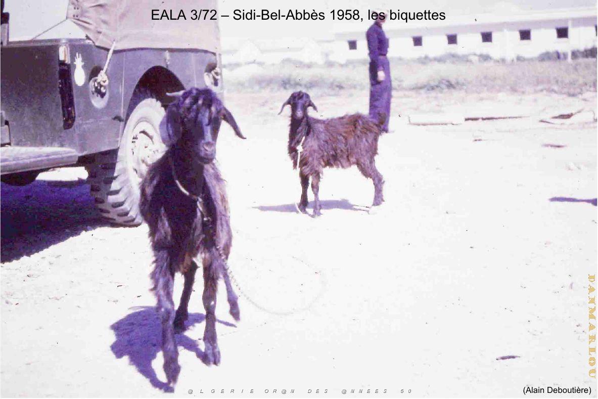 181- ARMEE DE L'AIR EN ALGERIE 1945-1962-29 (49).jpg